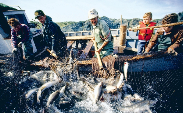 The East Coast Fishery